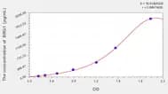 Human SMARCA4(Transcription activator BRG1) ELISA Kit