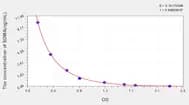 Rat SDMA(Symmetric dimethylarginine) ELISA Kit