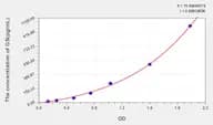 Human GS(Glutamine synthetase) ELISA Kit