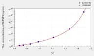 Mouse MASP2(Mannose Associated Serine Protease 2) ELISA Kit