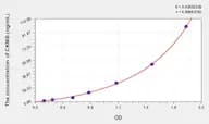 Rabbit CKMB(Creatine Kinase MB Isoenzyme) ELISA Kit