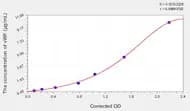 Mouse vWF(Von Willebrand Factor) ELISA Kit