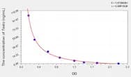 Cattle Testo(Testosterone) ELISA Kit
