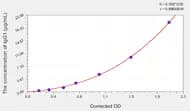 Rat IgG2a(Immunoglobulin G2a) ELISA Kit