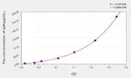 Simian IgM(Immunoglobulin M) ELISA Kit