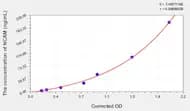 Rat NCAM(Neural Cell Adhesion Molecule) ELISA Kit