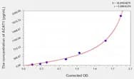 Human ACAT1(Acetyl Coenzyme A Acetyltransferase 1) ELISA Kit
