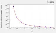 Rat NKB(Neurokinin B) ELISA Kit