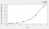 Mouse RBP4(Retinol Binding Protein 4, Plasma) ELISA Kit