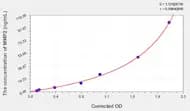 Human MMP2(Matrix Metalloproteinase 2) ELISA Kit