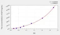 Rat IGF1(Insulin Like Growth Factor 1) ELISA Kit