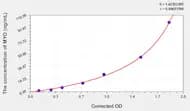 Human MYO(Myoglobin) ELISA Kit