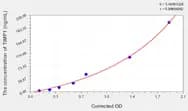 Rat TIMP2(Tissue Inhibitors Of Metalloproteinase 2) ELISA Kit