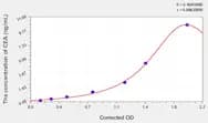 Rat CEA(Carcinoembryonic Antigen) ELISA Kit
