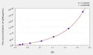 Rat IgM(Immunoglobulin M) ELISA Kit