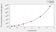 Rat AngII(Angiotensin II) ELISA Kit
