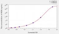 Human NGB(Neuroglobin) ELISA Kit