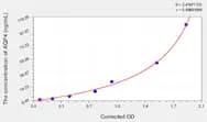 Rat AQP4(Aquaporin 4) ELISA Kit