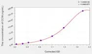 Rat CC16(Clara Cell Protein 16) ELISA Kit