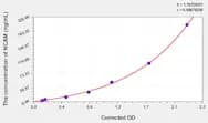 Human NCAM(Neural Cell Adhesion Molecule) ELISA Kit