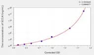 Human SCCA1(Squamous Cell Carcinoma Antigen 1) ELISA Kit