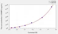 Rabbit MMP2(Matrix Metalloproteinase 2) ELISA Kit