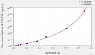 Human COL1a2(Collagen Type I α 2) ELISA Kit
