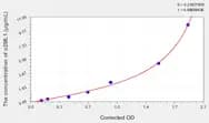 Human a2ML1(α-2-Macroglobulin Like Protein 1) ELISA Kit