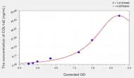 Rabbit COL1a2(Collagen Type I α 2) ELISA Kit