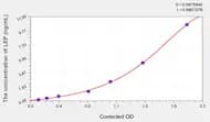 Rabbit LEP(Leptin) ELISA Kit
