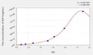 Rabbit IGF1(Insulin Like Growth Factor 1) ELISA Kit