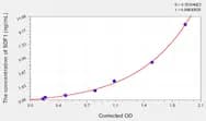 Rat SDF1(Stromal Cell Derived Factor 1) ELISA Kit