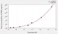 Rat OPG(Osteoprotegerin) ELISA Kit