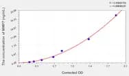 Rat MMP7(Matrix Metalloproteinase 7) ELISA Kit
