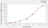 Rat MMP13(Matrix Metalloproteinase 13) ELISA Kit
