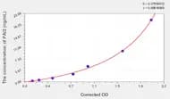 Human PAI2(Plasminogen Activator Inhibitor 2) ELISA Kit