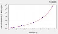 Mouse NSE(Enolase, Neuron Specific) ELISA Kit