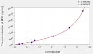 Mouse MYO(Myoglobin) ELISA Kit