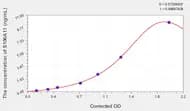 Rat S100A11(S100 Calcium Binding Protein A11) ELISA Kit