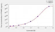 Mouse PIIINP(Procollagen III N-Terminal Propeptide) ELISA Kit