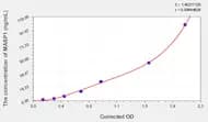 Human MASP1(Mannose Associated Serine Protease 1) ELISA Kit