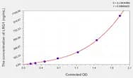 Human LRG1(Leucine Rich α-2-Glycoprotein 1) ELISA Kit