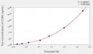 Human CCR5(Chemokine C-C-Motif Receptor 5) ELISA Kit