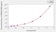 Mouse BMG/b2-MG(β-2-Microglobulin) ELISA Kit
