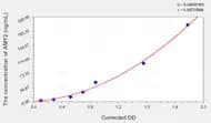 Human AMY2(Amylase α 2, Pancreatic) ELISA Kit