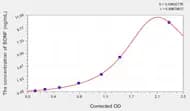 Rat BDNF(Brain Derived Neurotrophic Factor) ELISA Kit