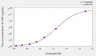 Human CPP(Copeptin) ELISA Kit