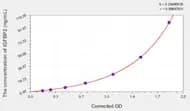Mouse IGFBP2(Insulin Like Growth Factor Binding Protein 2) ELISA Kit