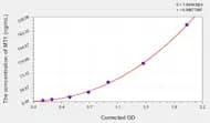Rat MT1(Metallothionein 1) ELISA Kit