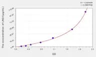 Rat LRG1(Leucine Rich α-2-Glycoprotein 1) ELISA Kit